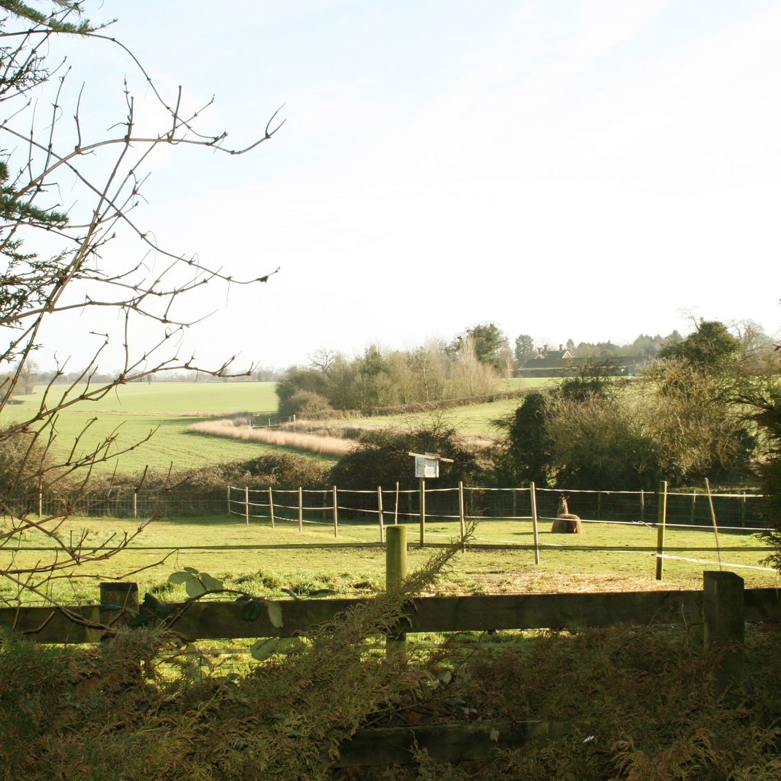 Falcon House Care Ltd Residential Care in Hertfordshire
